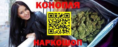 крисы Севастополь